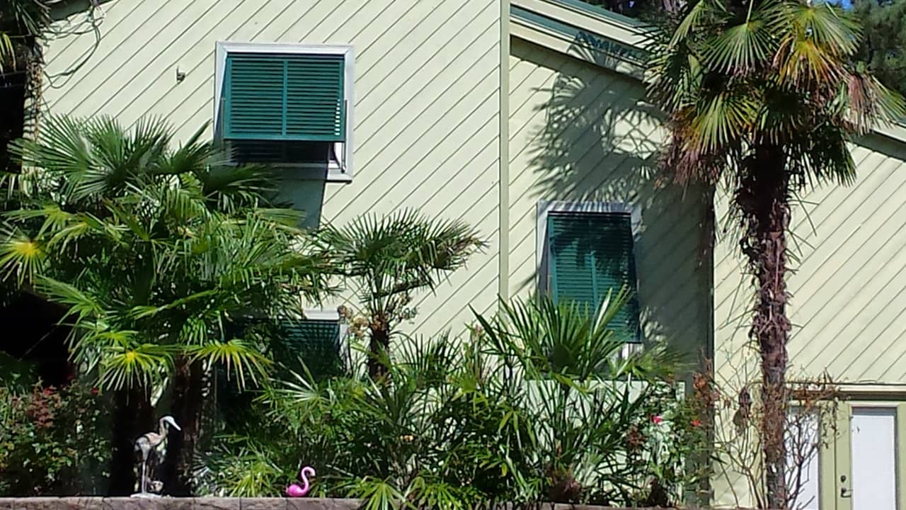 Green Bahama shutters on a house