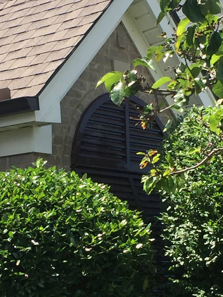 Arched Bahama shutters on a house