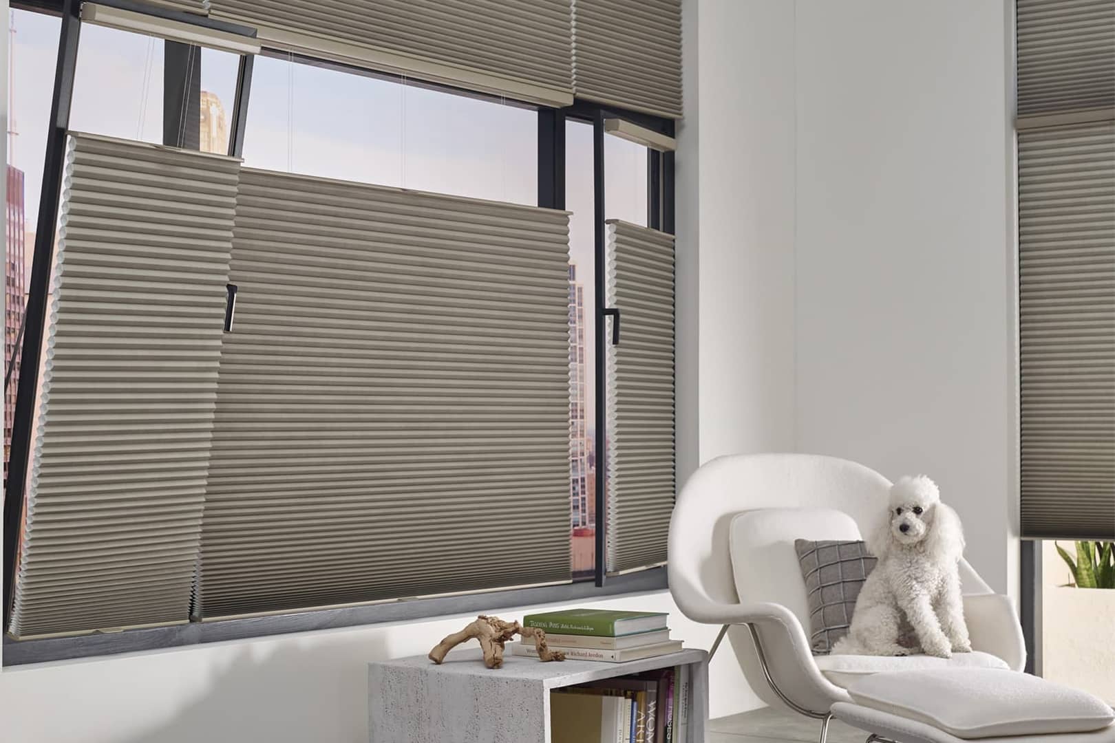 pet-safe, top-down, bottom-up cellular shades